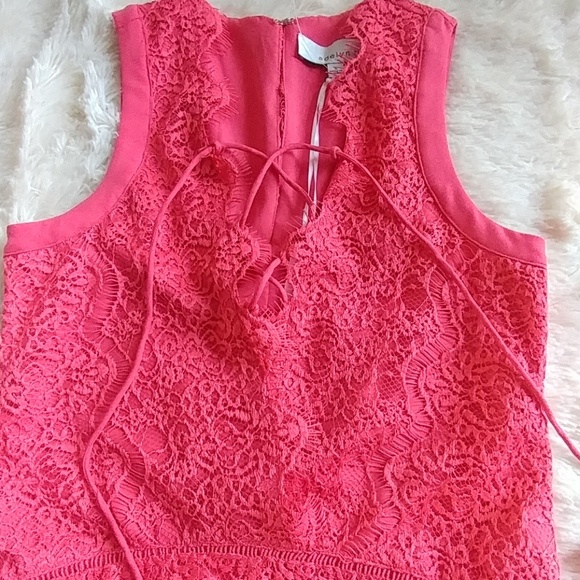 Lace Dress - Picture 8 of 8